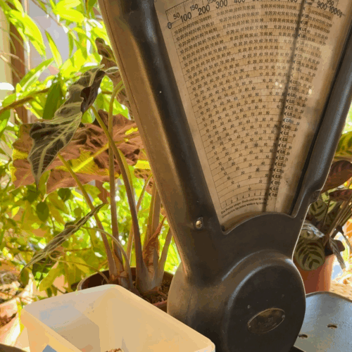 domowy chleb mieszanie sypkich składników