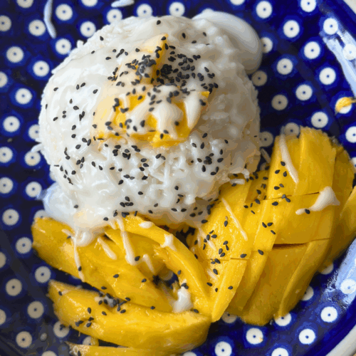 mango sticky rice 4
