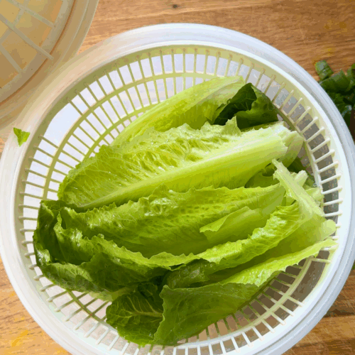 myjemy i suszymy sałatę