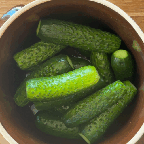 układanie ogórków