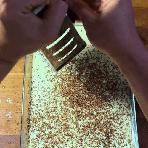 tiramisu pistacjowe tarkujemy czekolade