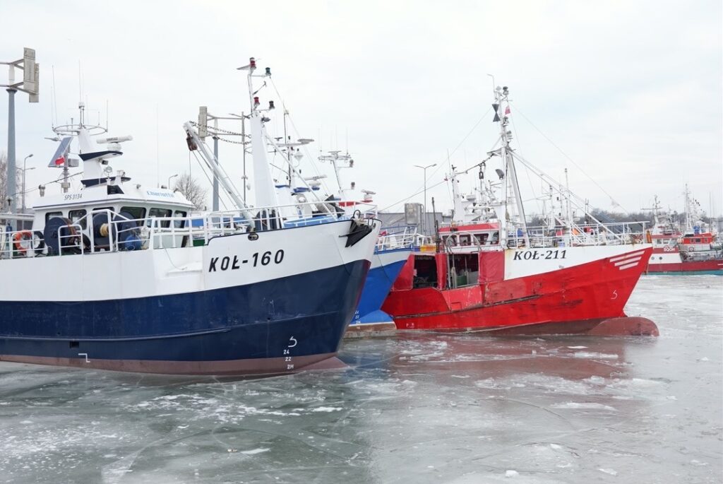 bufet śledziowy Barka Kołobrzeg kutry rybackie