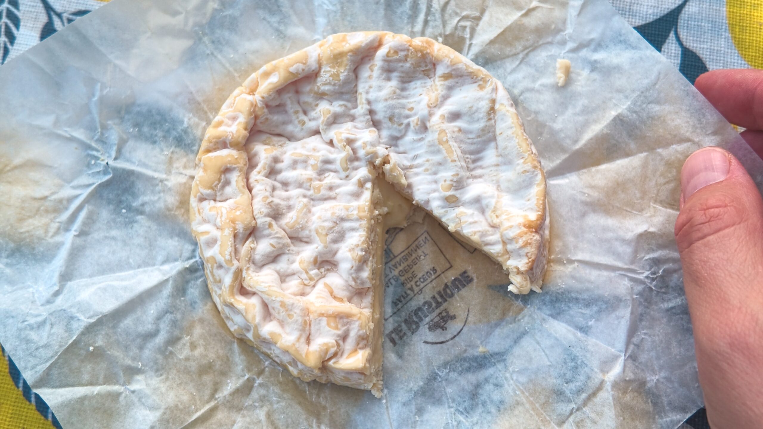 ser camembert Le Rustique
