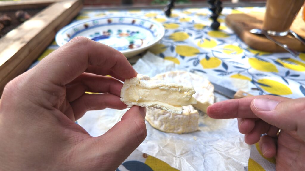 CAMEMBERT LE RUSTIQUE 9 ser camembert Le Rustique